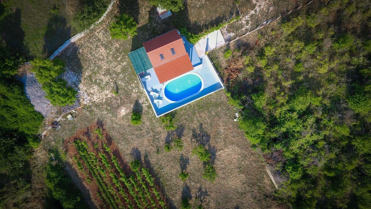 Villa Baras Garden - House With Pool Mirce Eksteriør bilde